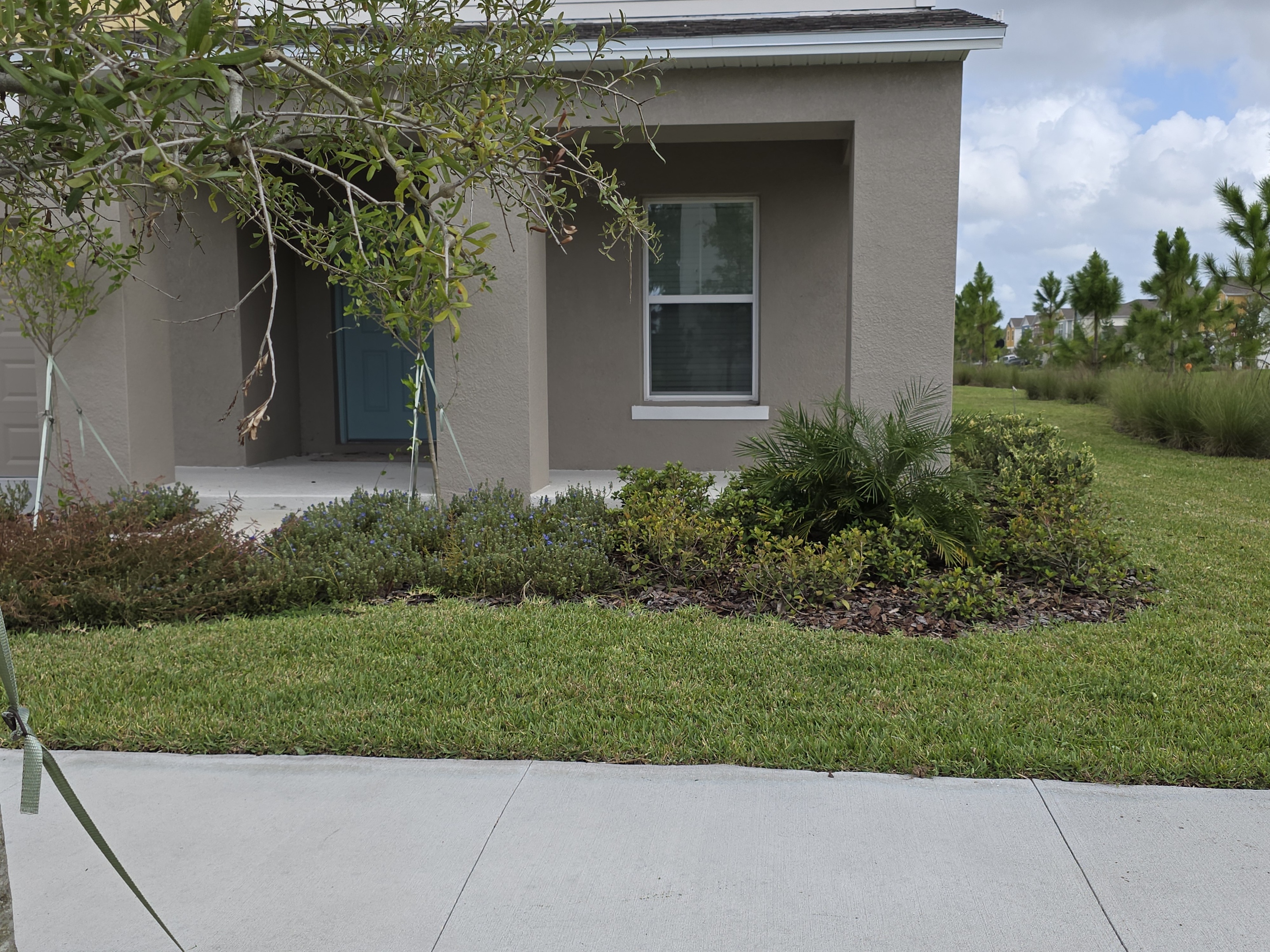 Landscaping